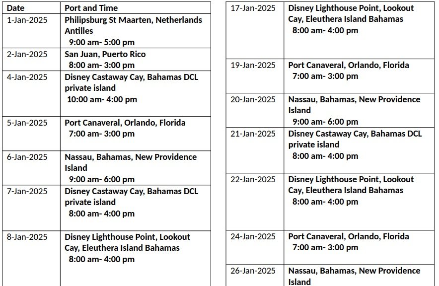 Disney Cruise Itinerary Sample Format.jpg