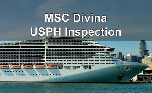 msc-divina.jpg