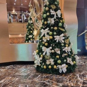 Christmas tree on MSC Splendida2.jpg