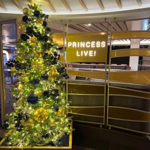 Sun Princess Holiday Decorations3.jpg