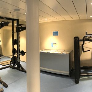 Crew-Gym-Equipment-Excellence-Helios-Class-Ships-Costa-Smeralda.jpg