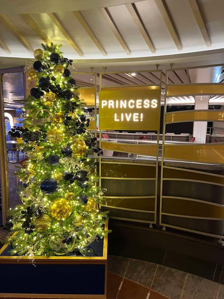 Sun Princess Holiday Decorations3.jpg